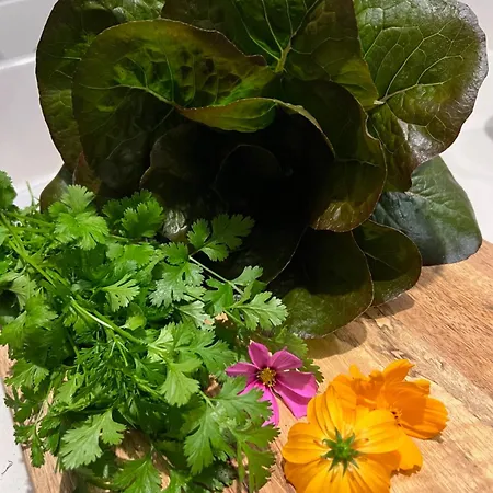 Oda ve Kahvaltı Casa Suvara - D'hotes De Charme I Piscines Ou Privatifs