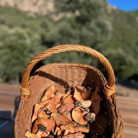 Casa Suvara - D'hotes De Charme I Piscines Ou Privatifs Conca