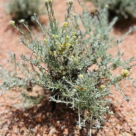 Casa Suvara - D'hotes De Charme I Piscines Ou Privatifs Conca
