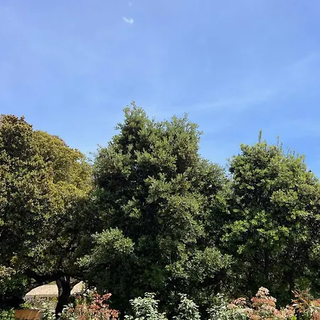 Oda ve Kahvaltı Casa Suvara - D'hotes De Charme I Piscines Ou Privatifs Conca