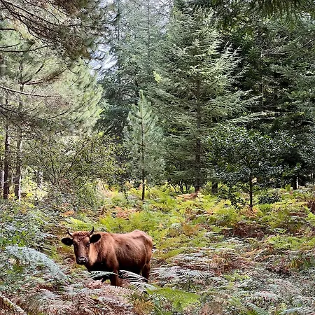 Casa Suvara - D'hotes De Charme I Piscines Ou Privatifs