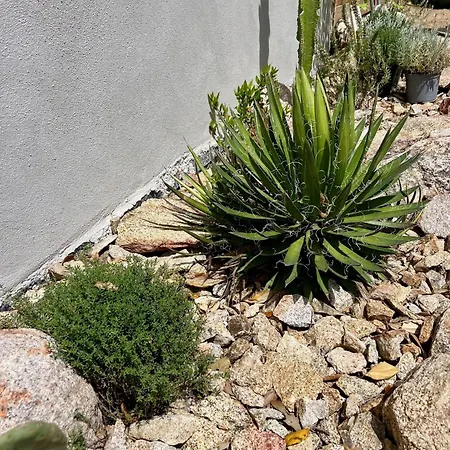 Casa Suvara - D'hotes De Charme I Piscines Ou Privatifs ベッド・アンド・ブレックファスト