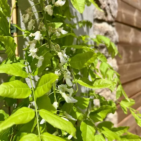 Casa Suvara - D'hotes De Charme I Piscines Ou Privatifs Bed & Breakfast