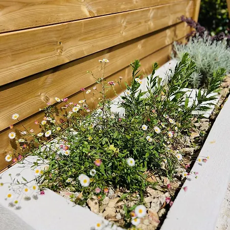 Casa Suvara - D'hotes De Charme I Piscines Ou Privatifs Conca