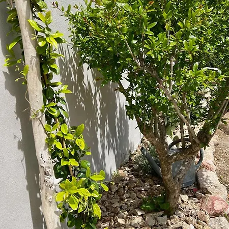 Casa Suvara - D'hotes De Charme I Piscines Ou Privatifs ベッド・アンド・ブレックファスト コンカ