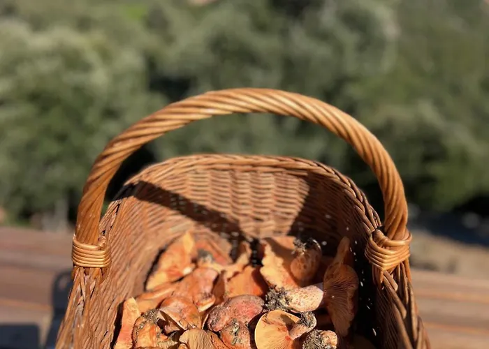 Casa Suvara - D'hôtes De Charme I Piscines Ou Privatifs Conca