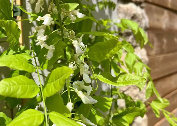 Casa Suvara - D'hotes De Charme I Piscines Ou Privatifs Отель типа 