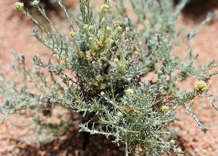 Casa Suvara - D'hotes De Charme I Piscines Ou Privatifs Конка