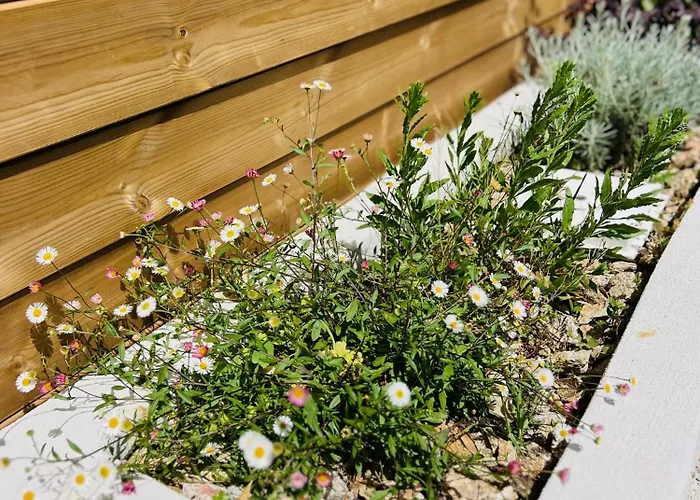 Casa Suvara - D'hotes De Charme I Piscines Ou Privatifs Конка