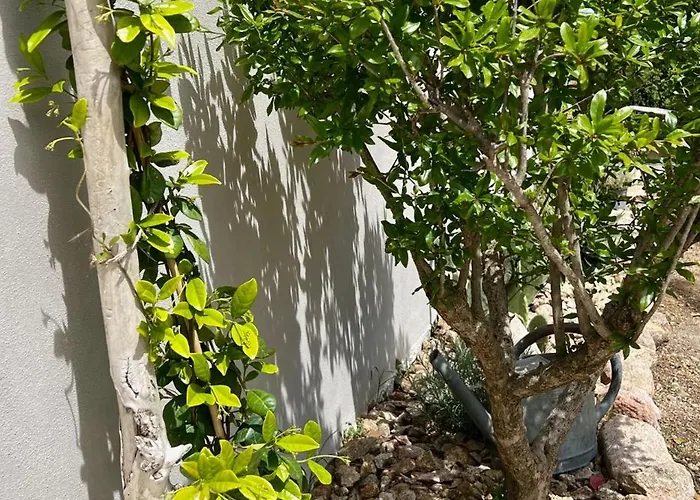 Casa Suvara - D'hôtes De Charme I Piscines Ou Privatifs Couette-café Conca