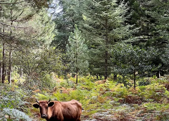 Casa Suvara - D'hotes De Charme I Piscines Ou Privatifs